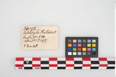 Etikett zu Bronzemehrkopfnadel (NHMW-PRAE-026177)